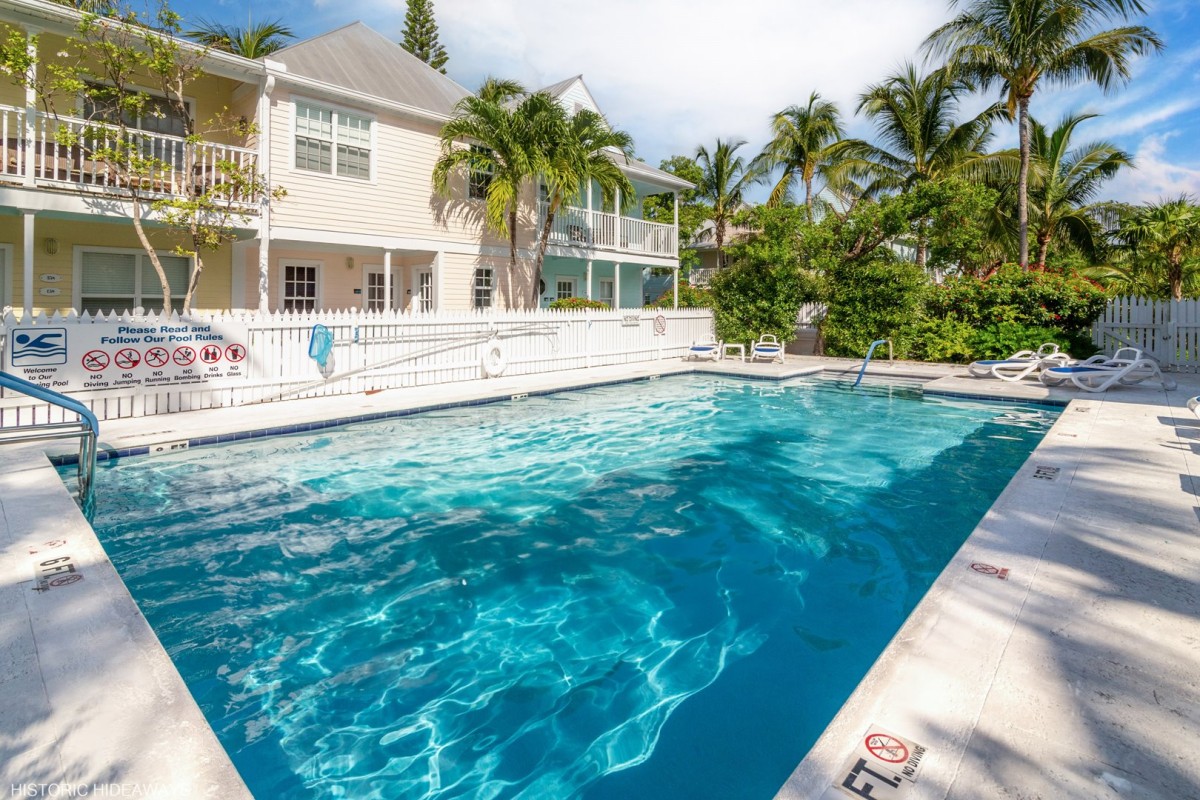 Poolside Palms