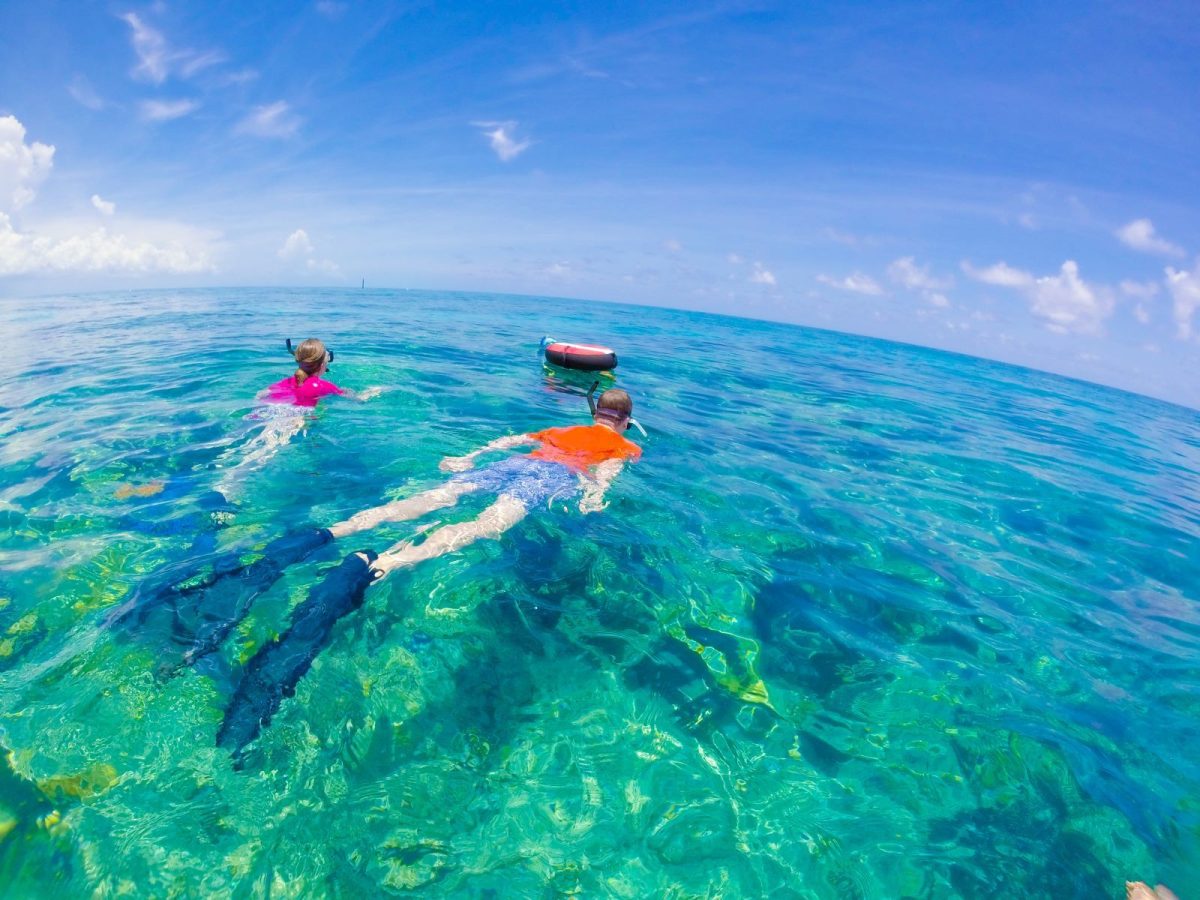 people snorkeling